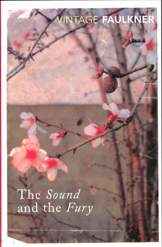 Sound and the Fury (William Faulkner)